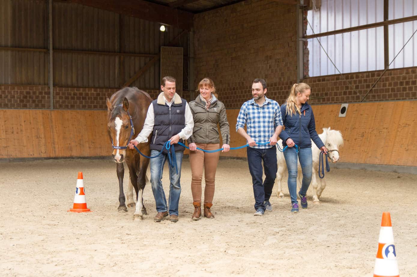 vier Teilnehmer eines pferdegestützten Teamcoachings in einer Übung